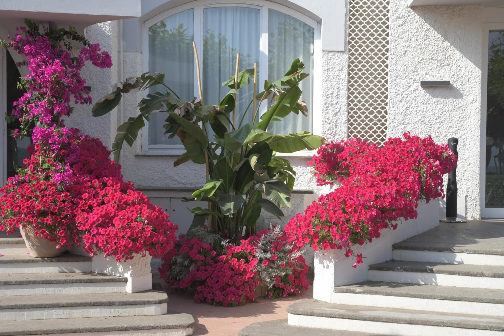 Bajamar Beach Hotel Formia Exterior photo